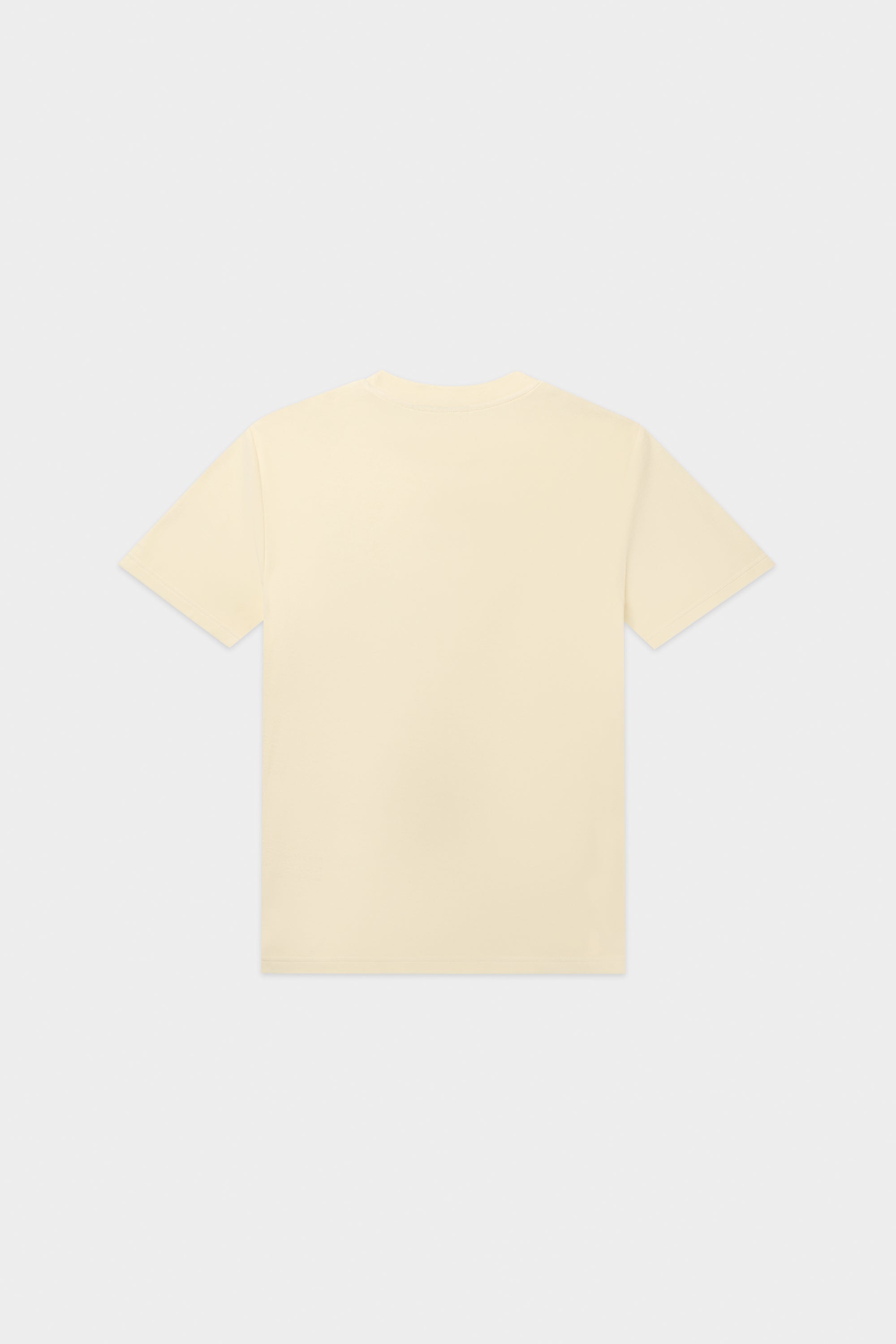 BRAND LUXE BOX FIT T-SHIRT-White Swan