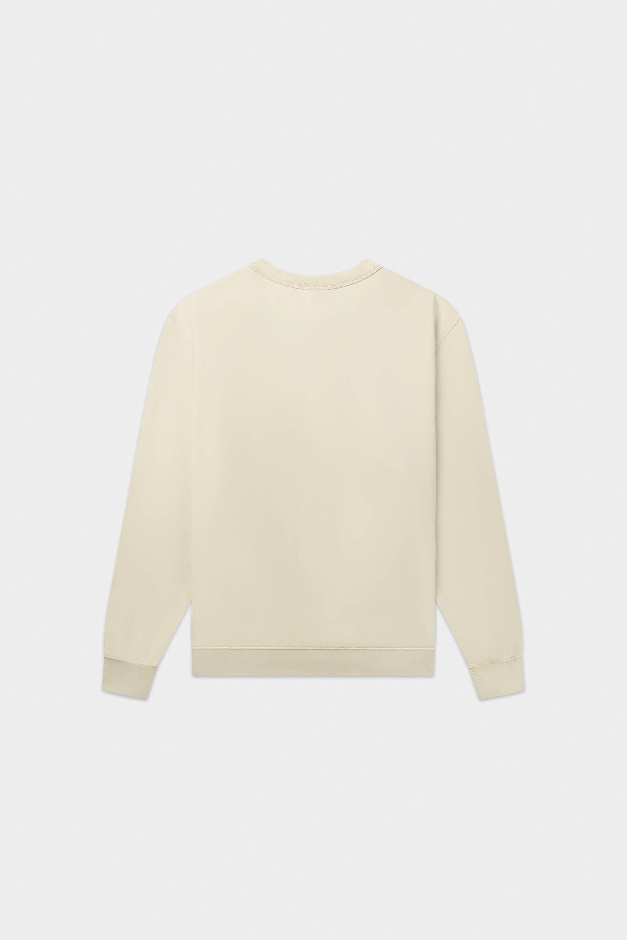 METALLIC CREWNECK-LIGHT BEIGE