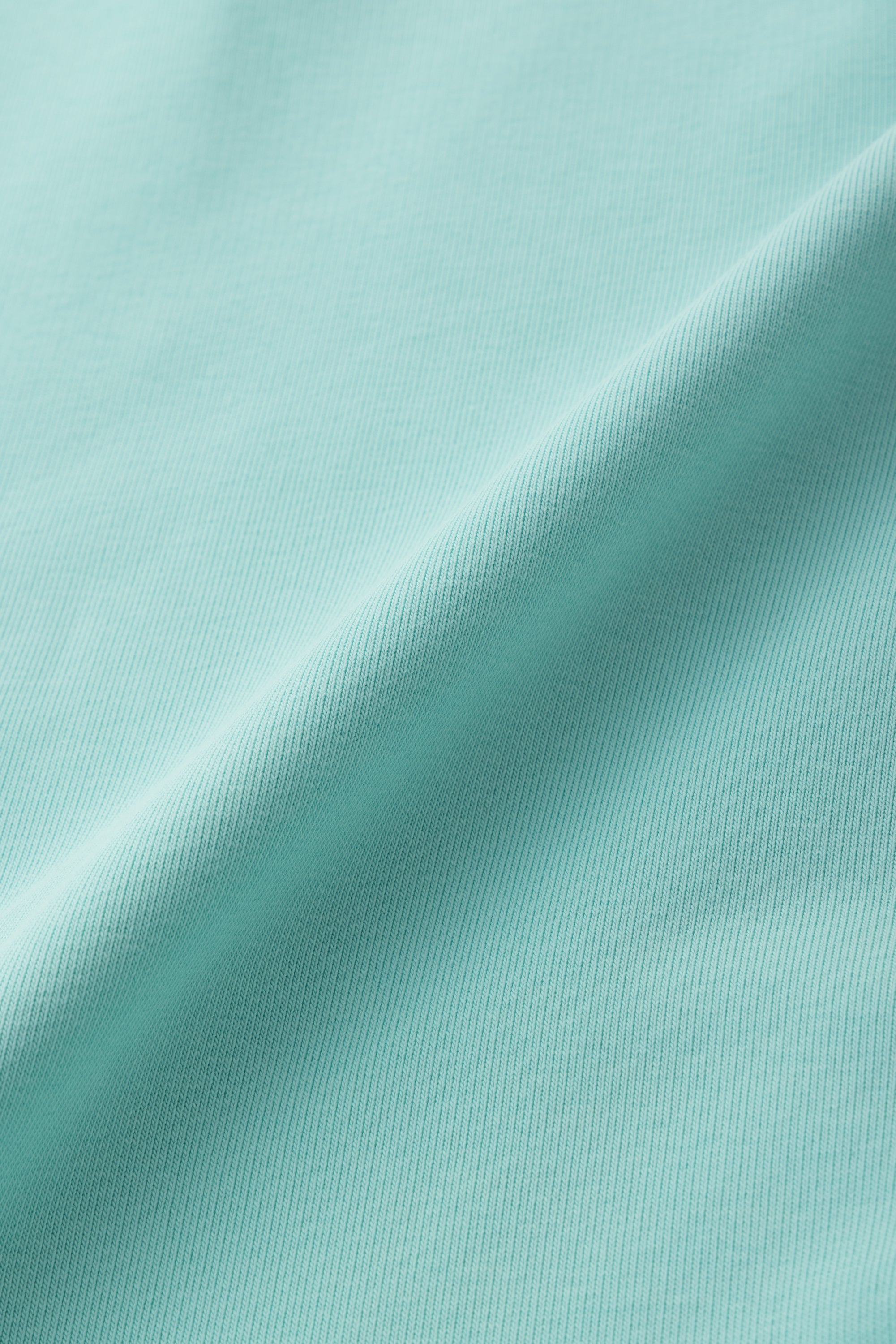 【日本限定】JP Q BALR. HOODIE - TIFFANY BLUE