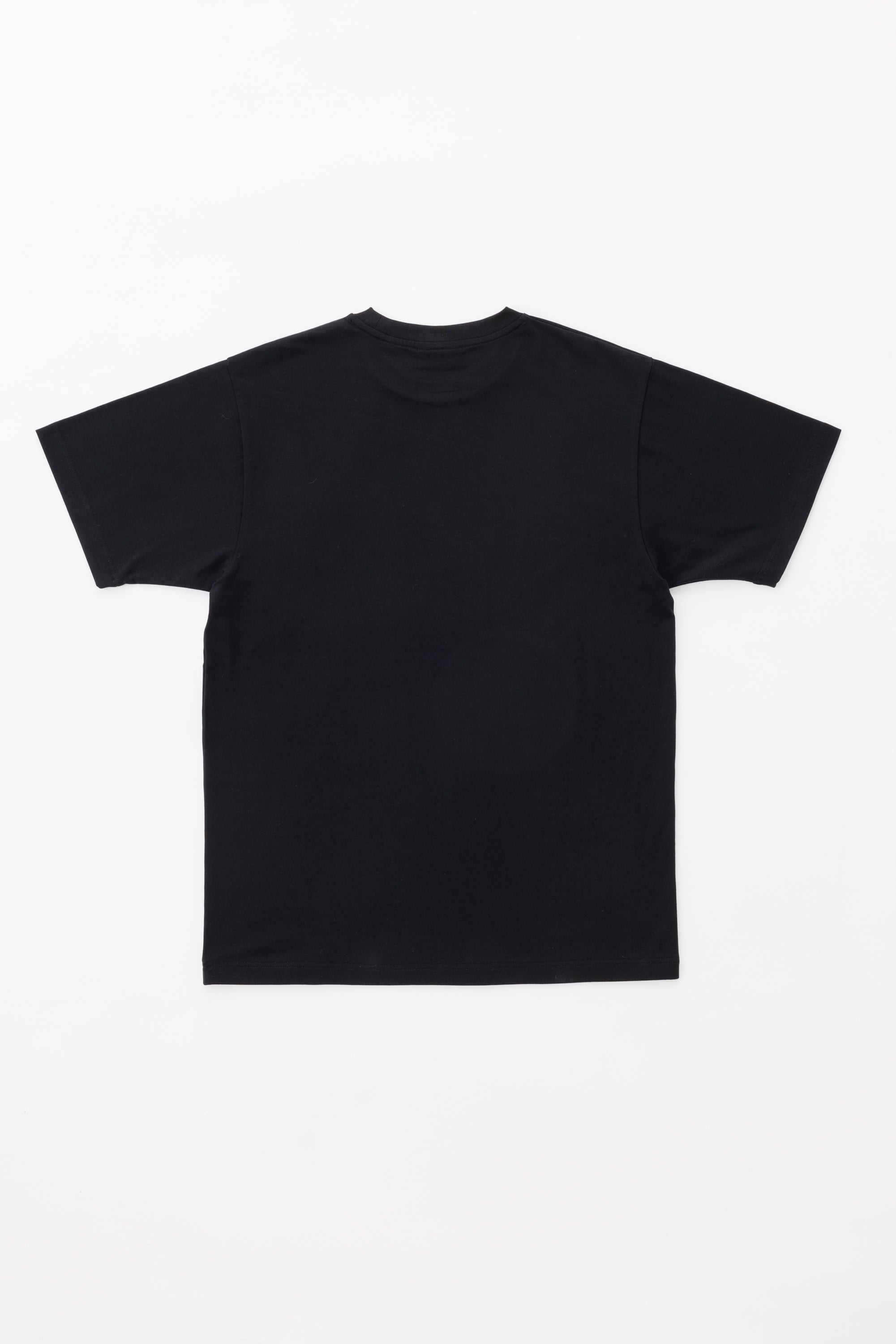 【日本限定】JP BRAND STRETCH T-SHIRT - SAKURA/T-BLUE