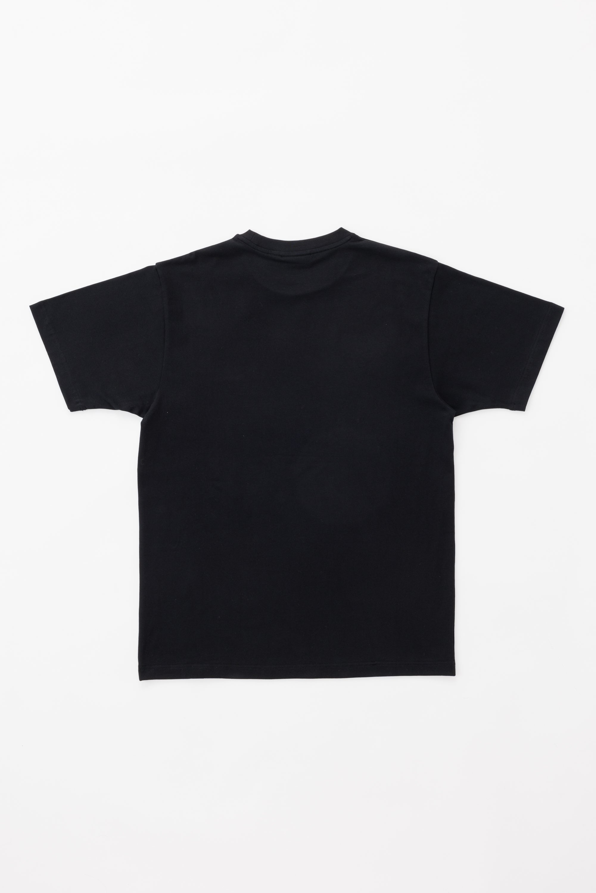【日本限定】JP BRAND STRETCH T-SHIRT - SAKURA